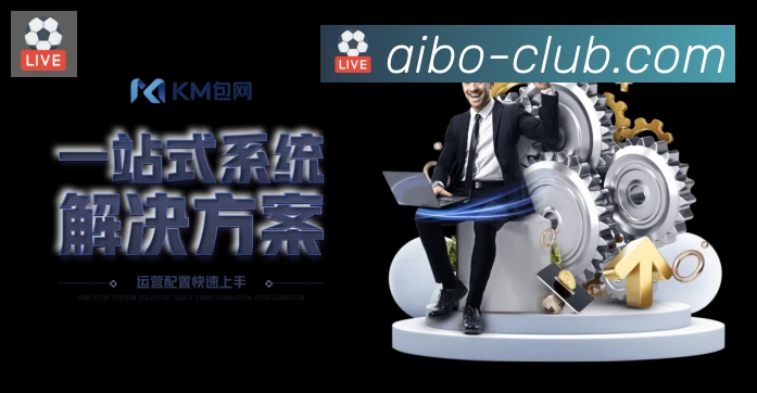 未来规划